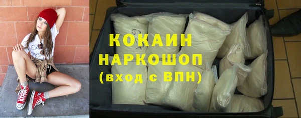 mdpv Бородино