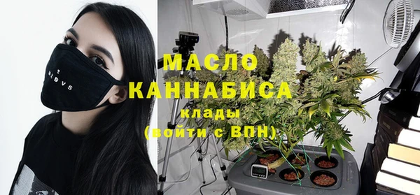 mdpv Бородино