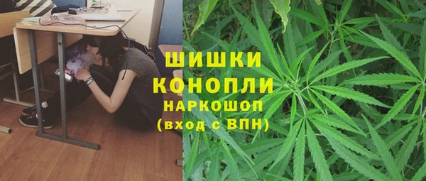 mdpv Бородино